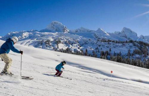 CHALET LYOBA - Photo 26