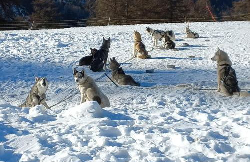 Les écureuils du Méale - Photo 20