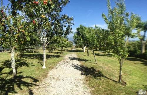 Welcoming villa near Penafiel with pool - Foto 15