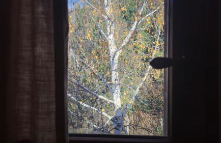 Cal Esquirol - Foto 8