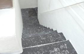 Staten Island Cozy Private 1-br Basement Apt close to NYC Family & Pet Friendly - Foto 68