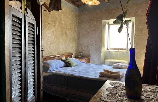 Preta Nera Van Gogh in Giuliano di Roma - Foto 1