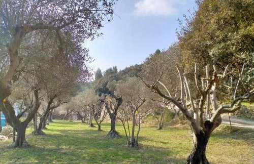 Gîte du domaine de l'Arbre de Vie - Foto 12