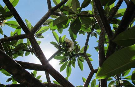 Slice Of Heaven- Dream Holiday Home - Foto 24