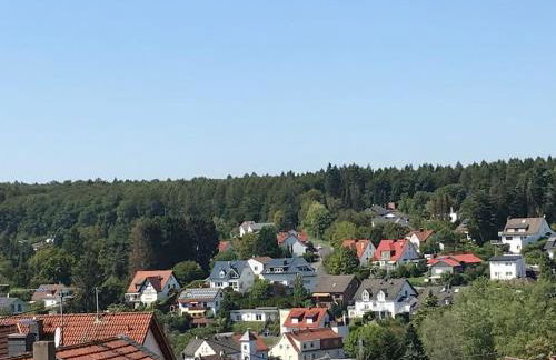 Apartment mit Wintergarten und Terrasse in ruhiger Lage im schönen Taunus - Foto 43