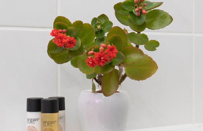 Cute and Sunny Studio in Zagreb With Balcony & Free Parking - Foto 13