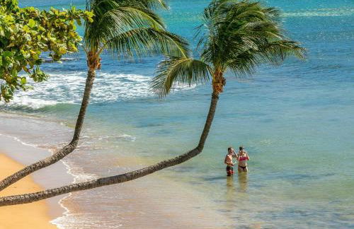 Kanai A Nalu 318 - Foto 47