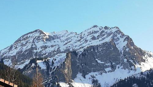 Les Silenes - Foto 2