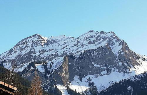 Les Silenes - Foto 2