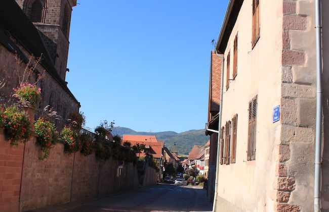 S'harzala Rouge - Foto 21