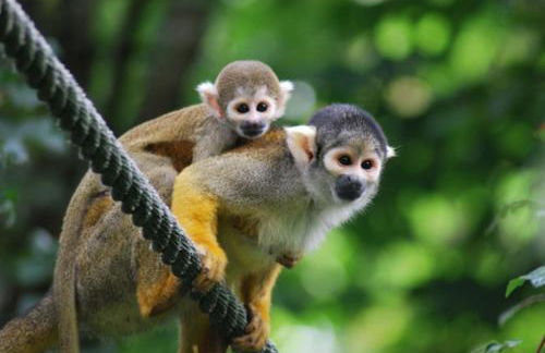 le gîte de Aimée - Foto 11