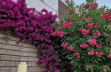 Mediterranean Peaceful Getaway - Foto 5