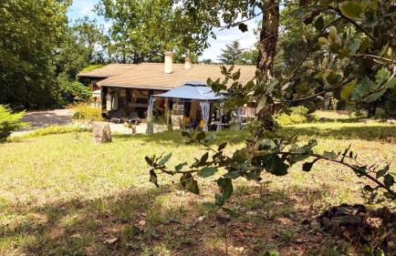 Le Mas de Pam - Foto 1