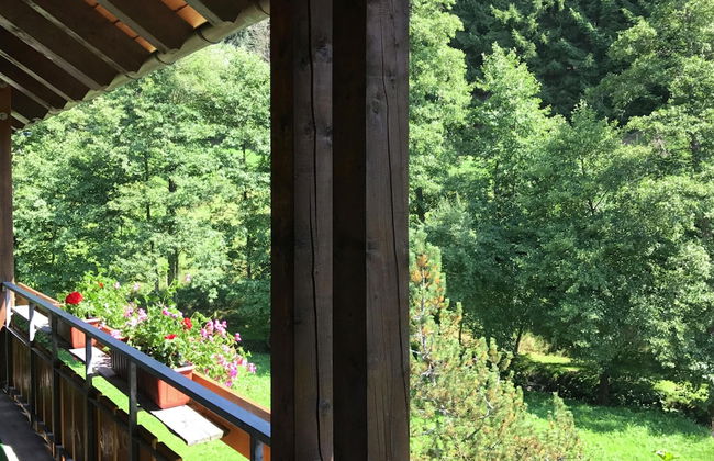 Comfortable Apartment in Baiersbronn With Balcony - Foto 7