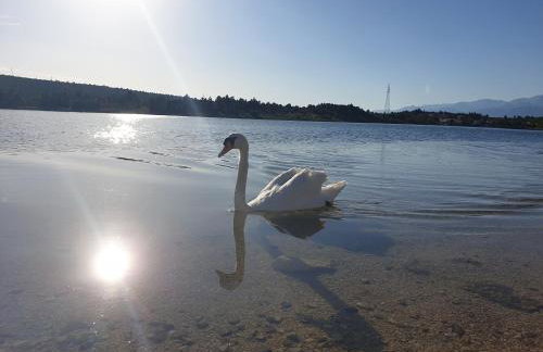 Apartmani Rudi - Foto 39