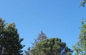 Lou Vergié Maison Provencale au pied du Luberon - Foto 9