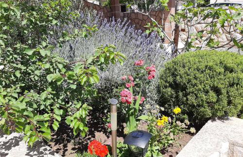 Apartments Pavelic - Foto 46