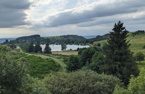 Perce-neige - Foto 17