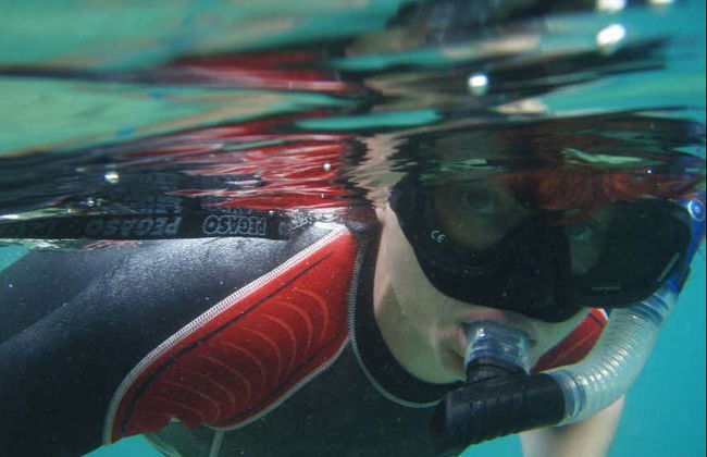 Snorkeling in Hvar, Brač or Makarska - Foto 2