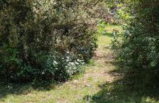 Mas provençal authentique XXL avec grande piscine, terrain de pétanque et parc privé - Foto 30