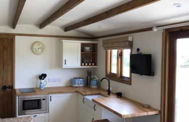 Ty Beti at Gorlan yr Efail Shepherds Hut with Private Hot Tub - Foto 11