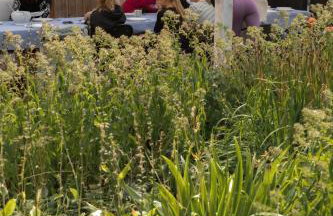 Przystawy Agroturystyka - Foto 25