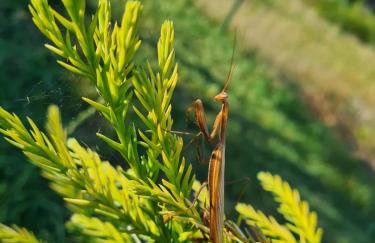 Domek nad Zalewem - Foto 43