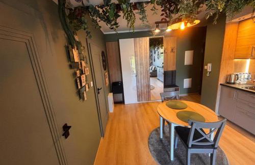 Oliwkowy - stylowy Apartament w naturalnym klimacie - Photo 33