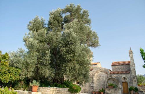 Margarita Mansion, with private heated pool! - Foto 33