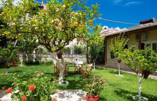 Villa Nektaria - Photo 17