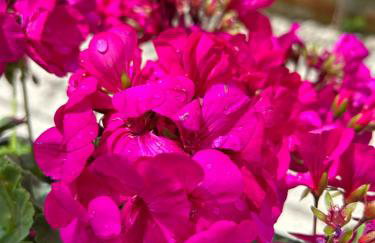 Apartment Donatella - Foto 17