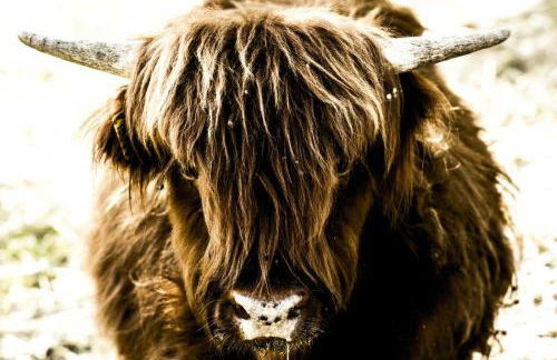 B&B I Montanari - Foto 54