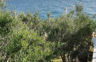 Apartman JURJEVIĆ - Photo 27