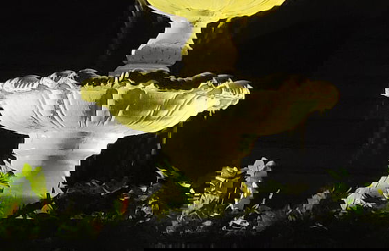 Hotel Fazenda Villa-Forte - Foto 71