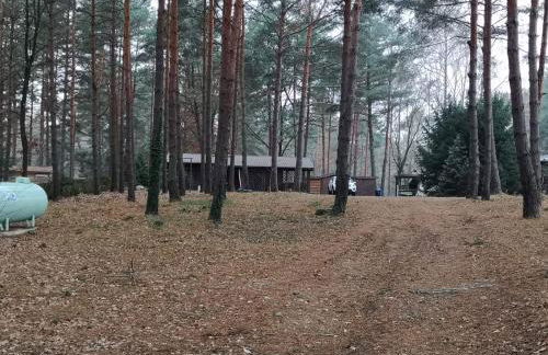 Ferienhaus Waldhütte Ferch - Foto 22