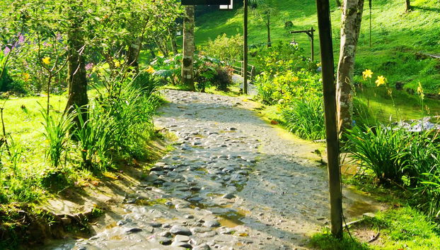 Excursion privée aux sources thermales de Santa Rosa de Cabal