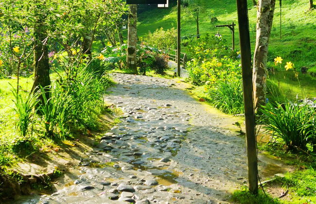 Excursión privada a las termales de Santa Rosa de Cabal - Foto 5