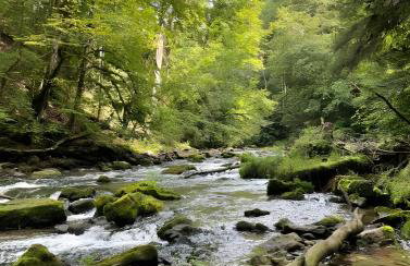 Am Rathaus 1 - Foto 19