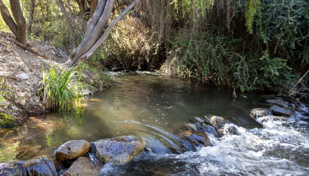 Have a picnic on the banks of the little river