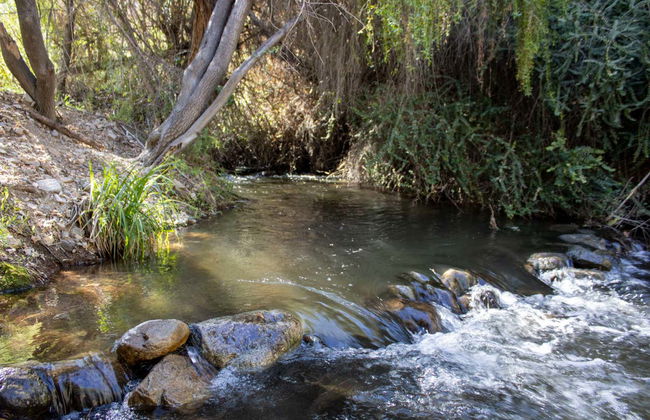 2-Day Stargazing Expedition - Photo 5