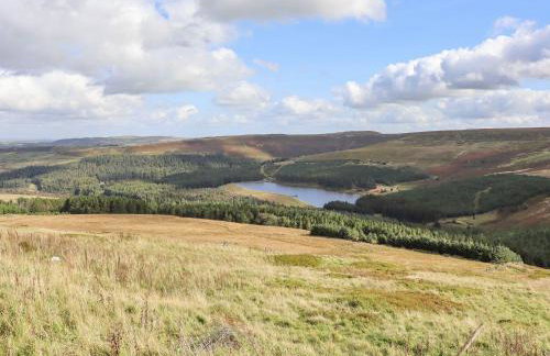 The Shearer's Hut - Photo 30