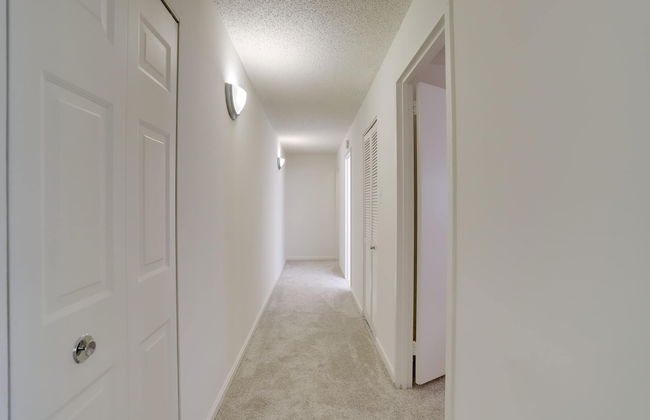 Charming Elegance Crystal City Apartment - Foto 53