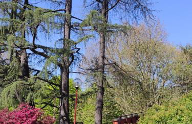 Casa Vacanze Tigli - Foto 9