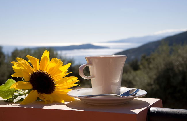 Villas Armeno - Photo 46