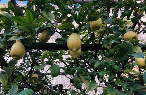 Appartamento Trentino II - Photo 37