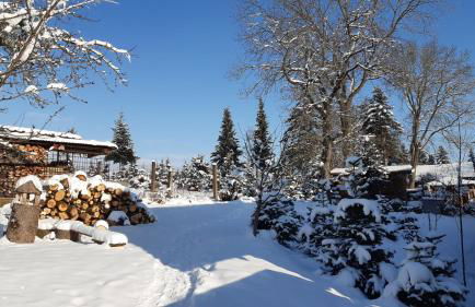 Ferienwohnung Reißmann - Foto 32