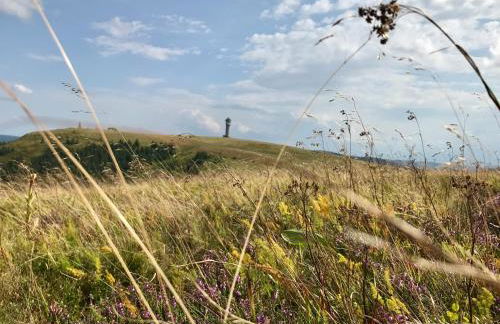 Ferienhaus Robin - Foto 56