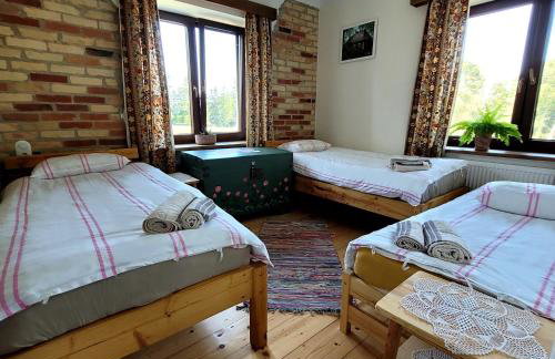 Kasztanówka - dom gościnny na Podlasiu, agroturystyka - Foto 13