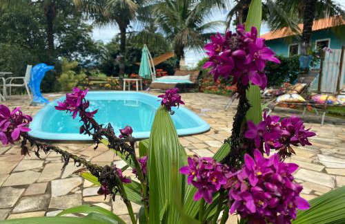 Hospedagem Recanto das Orquideas - Photo 49