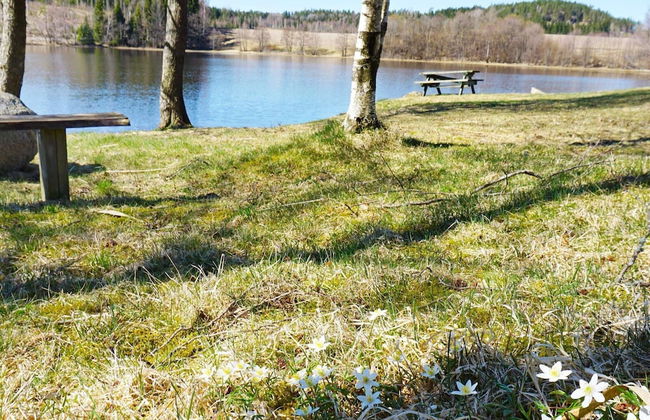 4 Person Holiday Home in Hedekas-by Traum - Foto 13